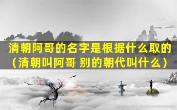 清朝阿哥的名字是根据什么取的（清朝叫阿哥 别的朝代叫什么）